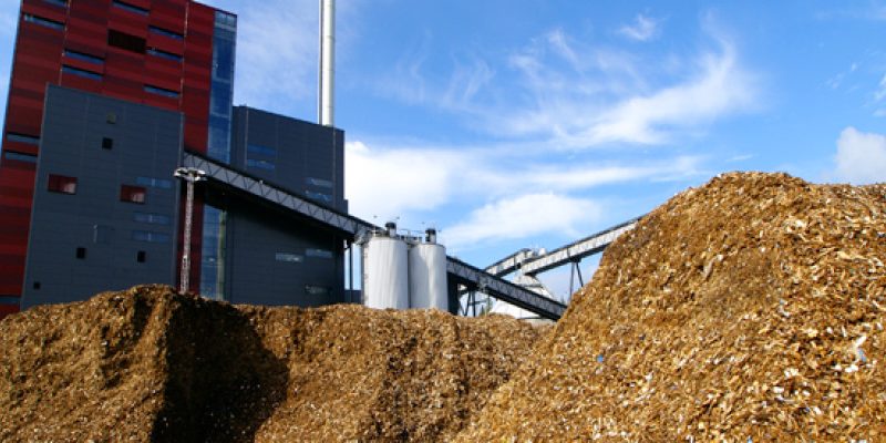 Interpellanza: Centrale a biomasse ad Ospedaletto